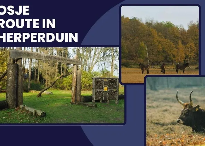 Stylish Mill Near Station, & Outdoor Fun *